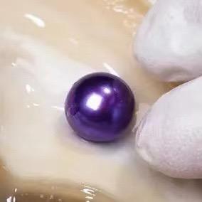 水果王子哥