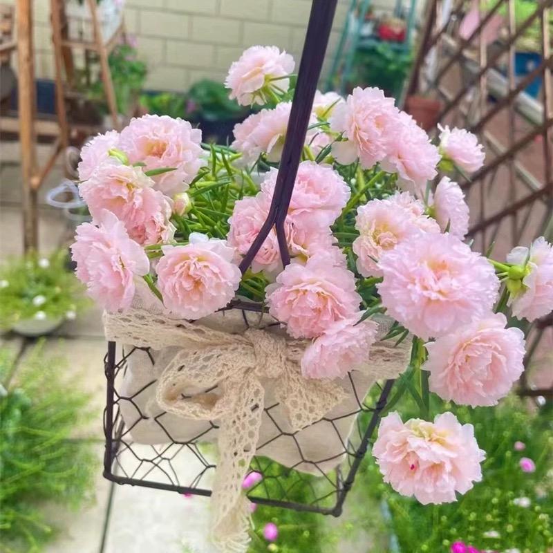 花开满园园艺店