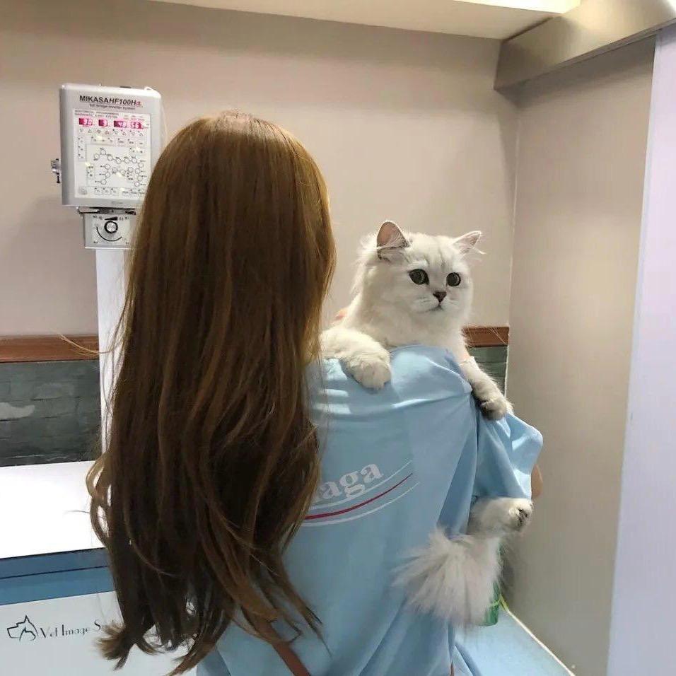 阿莹莹呀