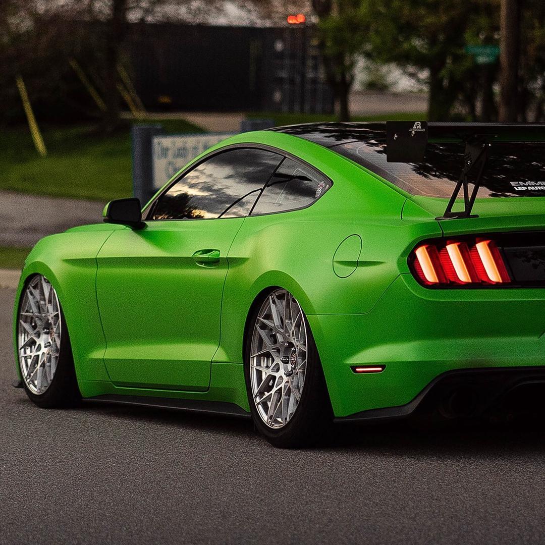 高效拿证刘教练🏅️