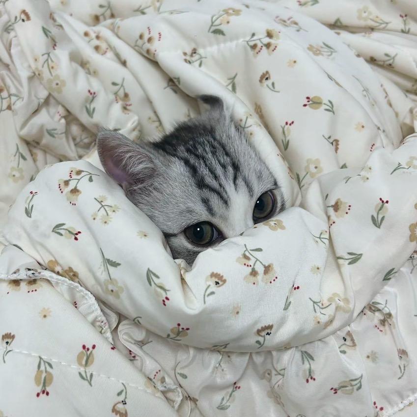 转眼间.