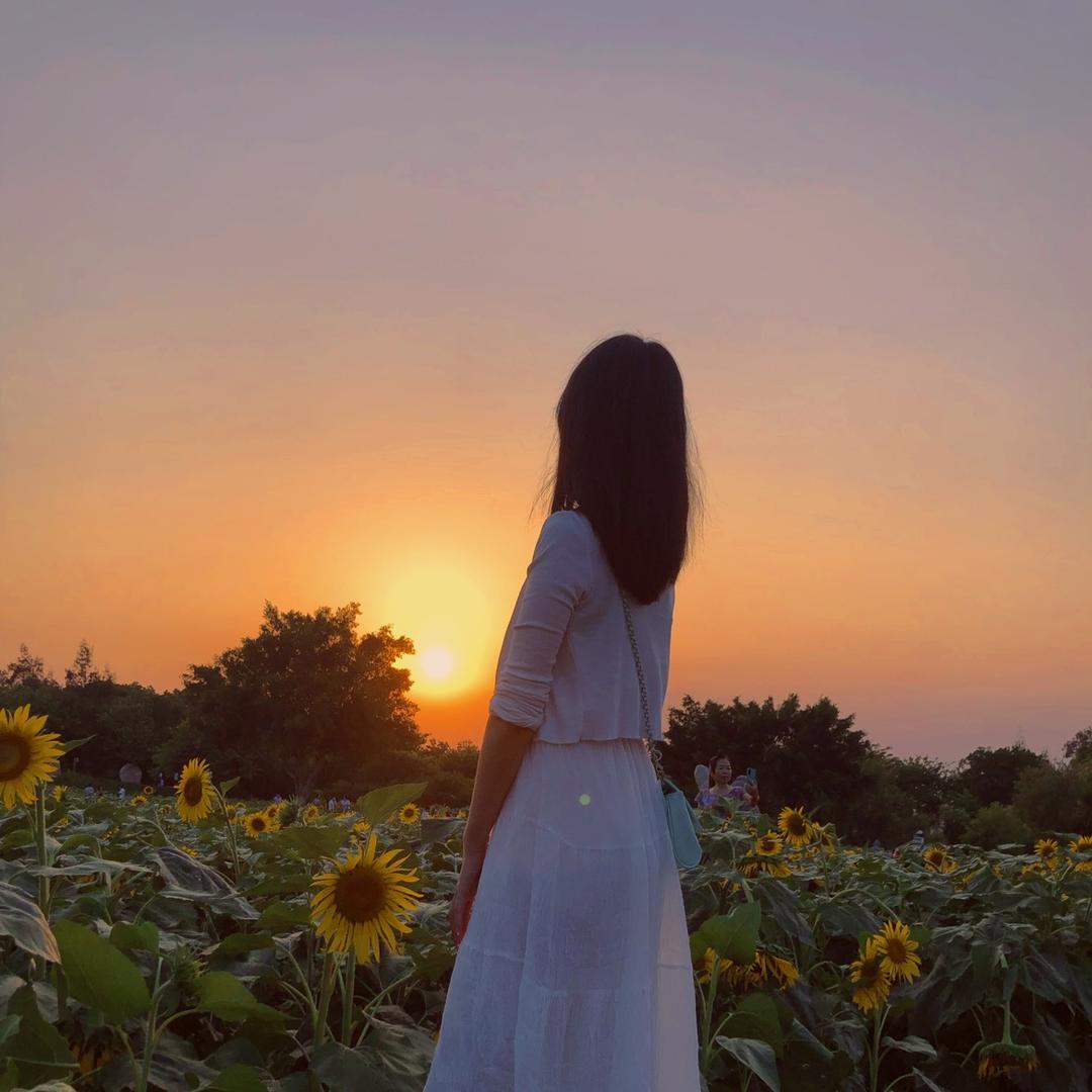 ☁️猫不理默默