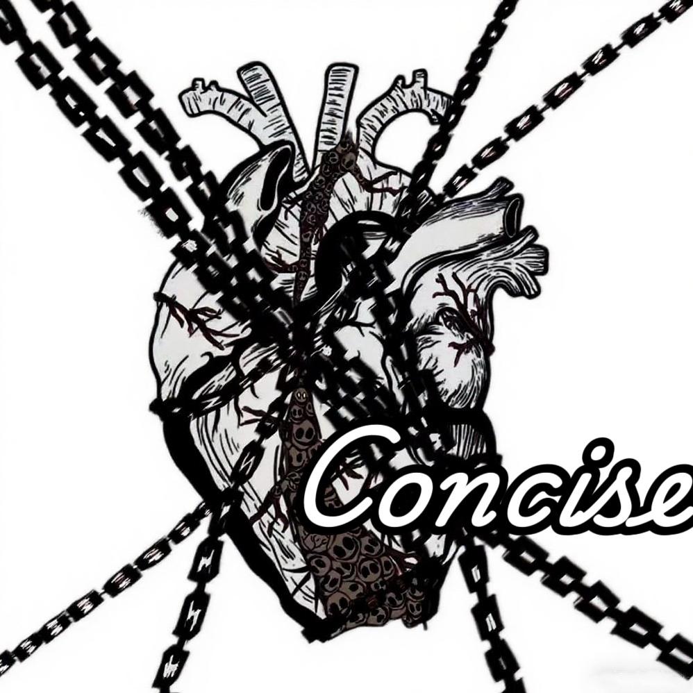 concise键盘客制化工作室