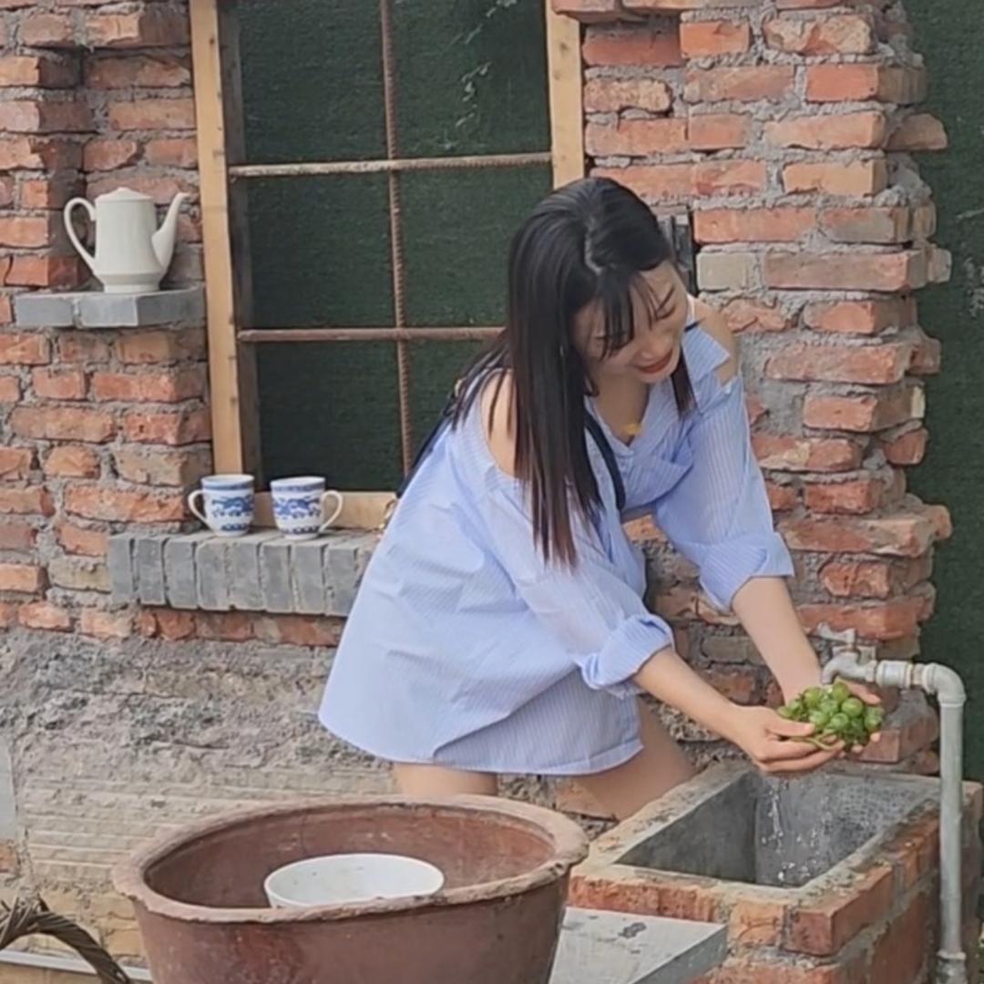 仙人掌🌵