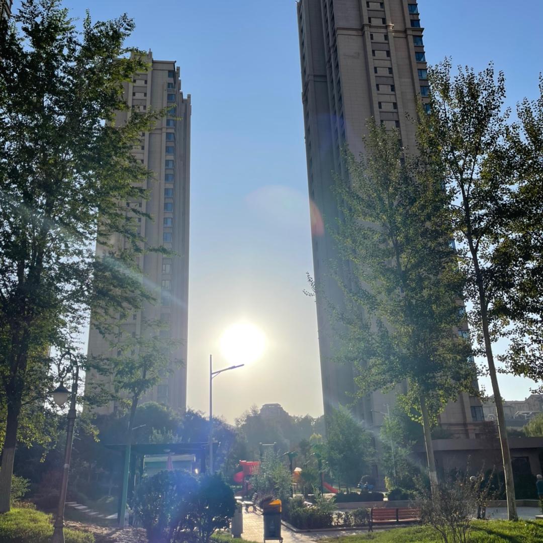 等风等雨等你