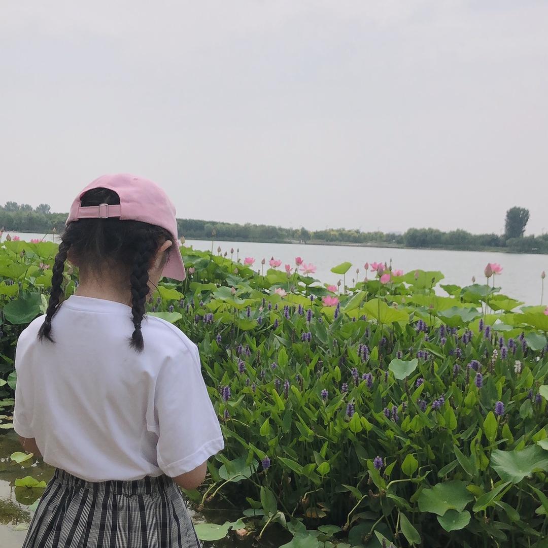 🌸欢 喜