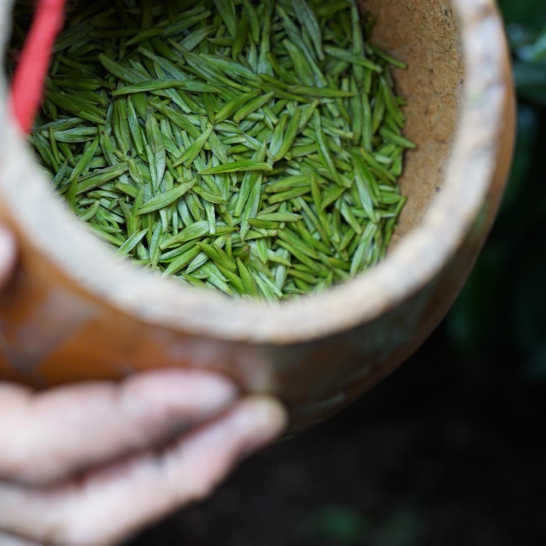 巴山早日常记录号