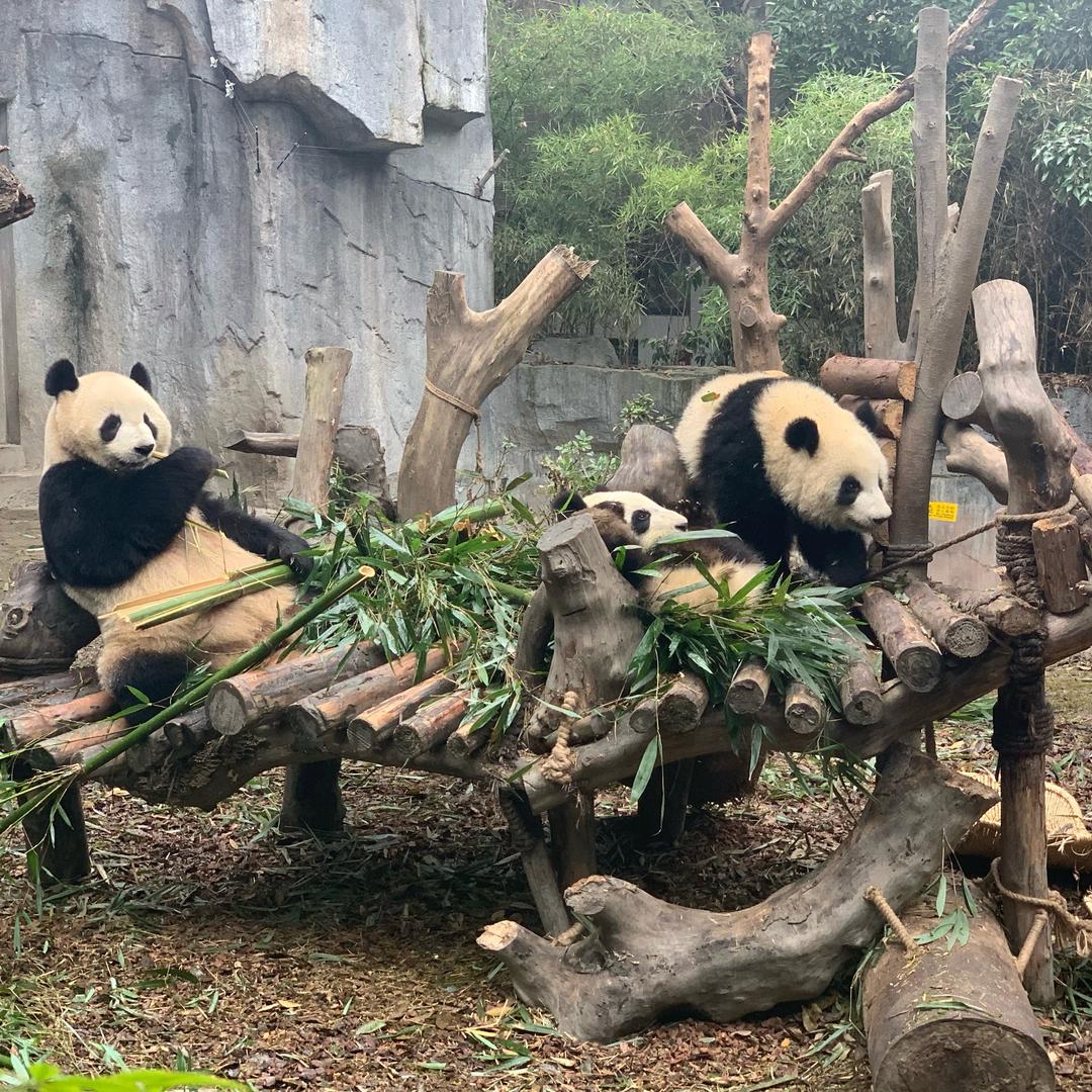 热爱手工的男生