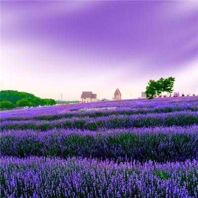 chengxincheng520💕💖