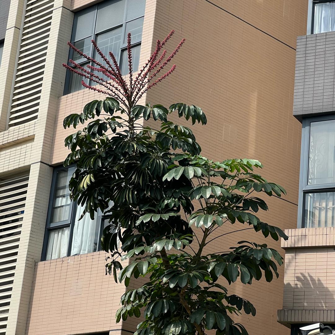 小闫@