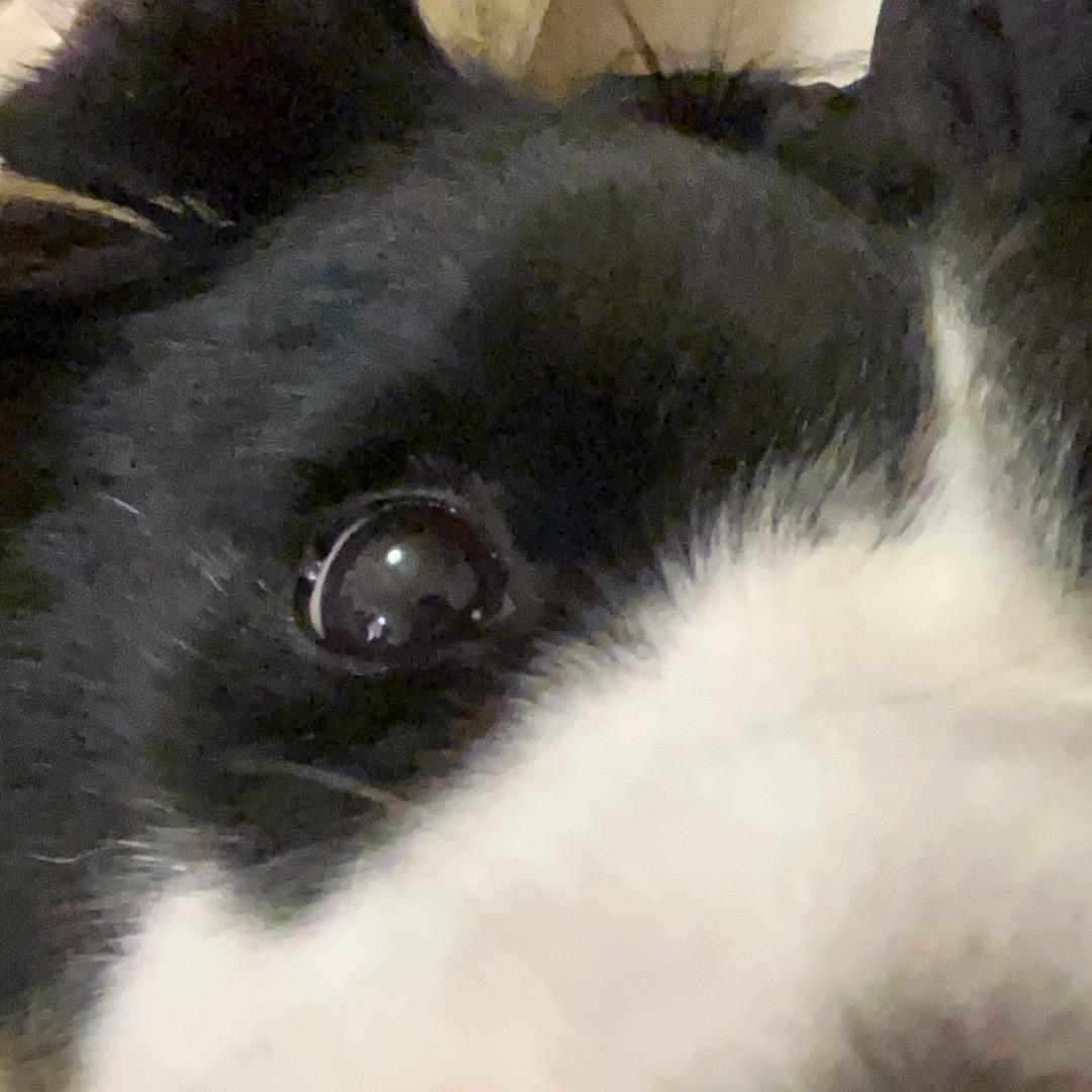 不处