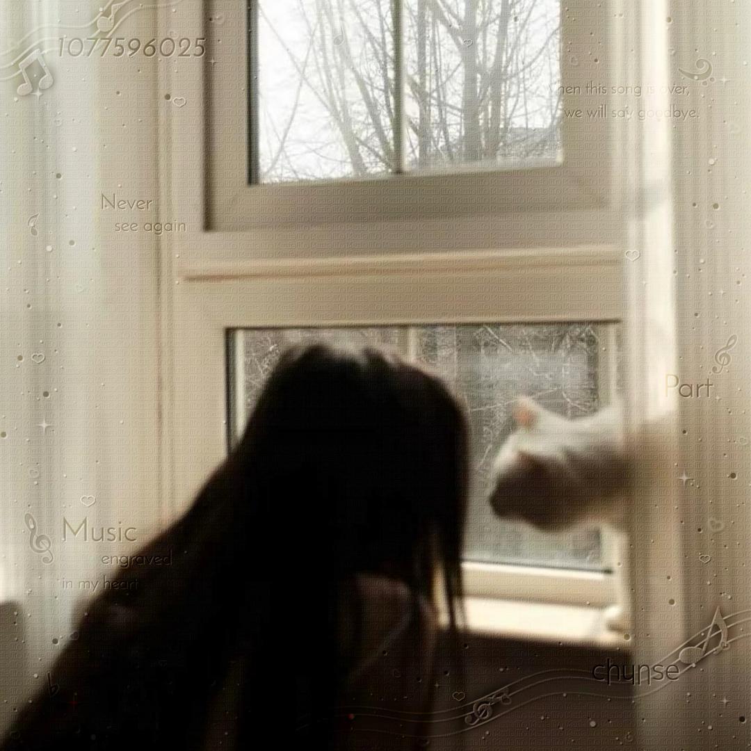 纯色