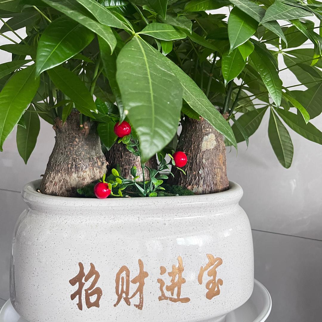 大大的世界，小小你