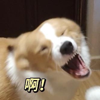 塞多纳大战翘嘴