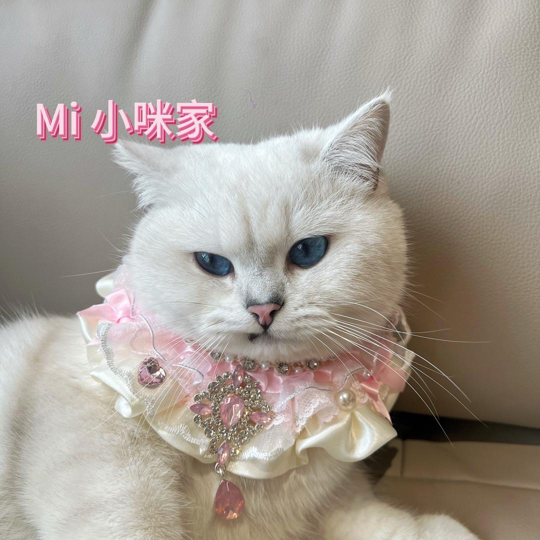 勤俭持家的纯爱战神 已婚版