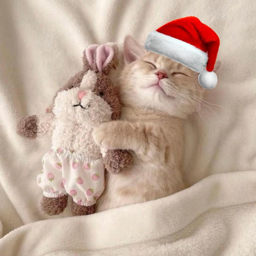 悲伤的海苔锅巴