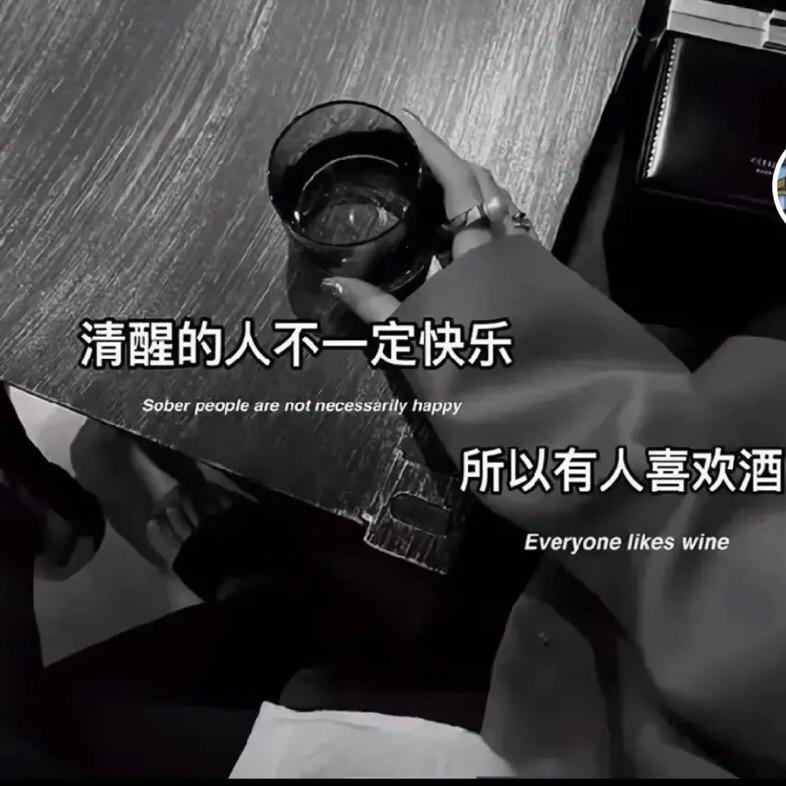 博茂鑫源煤炭 小马