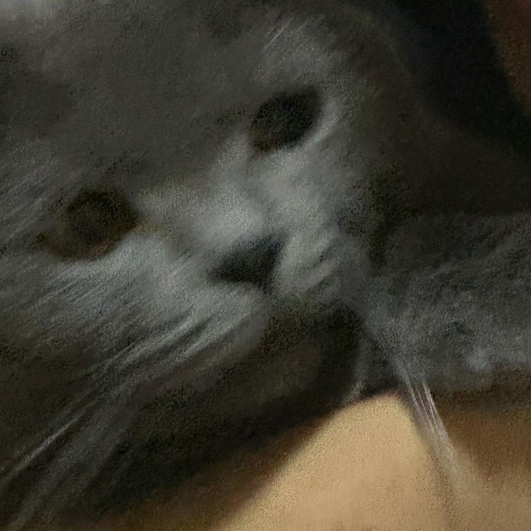 上善若水