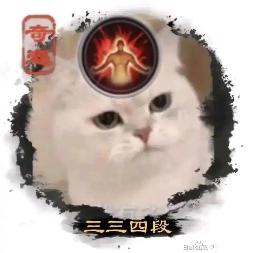 一个努力干活还不粘人的锤