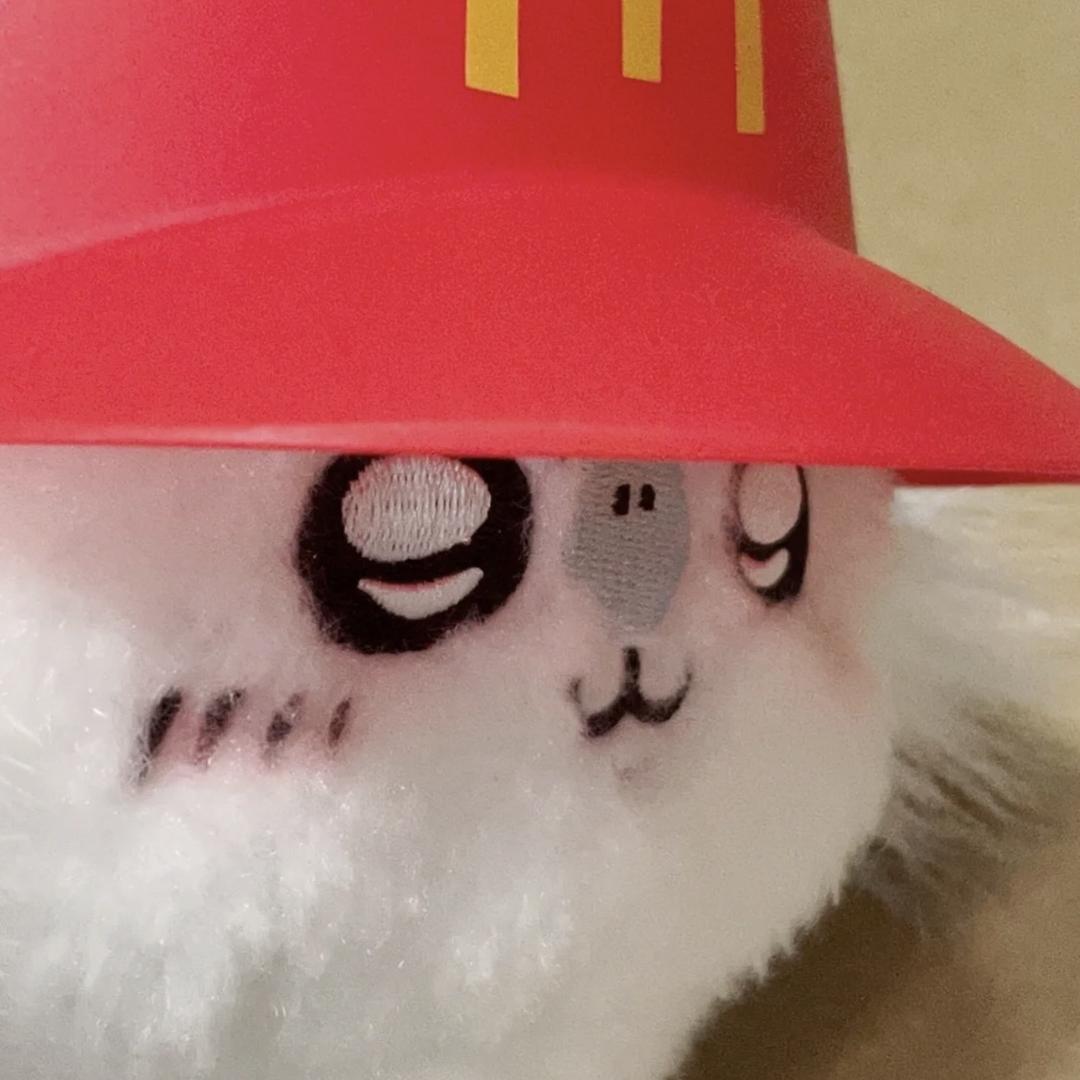 屁屁酱°