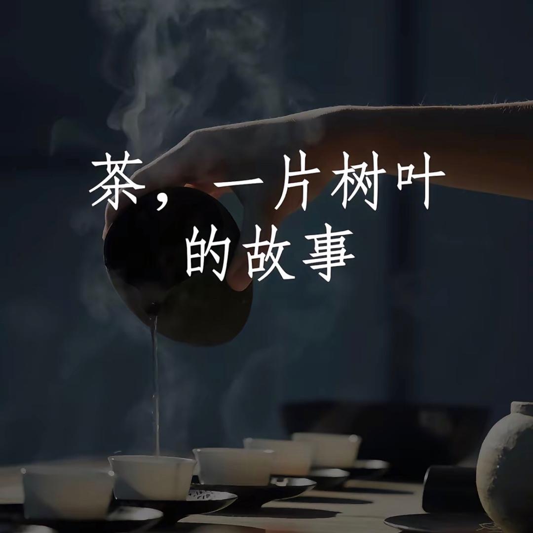 清茶