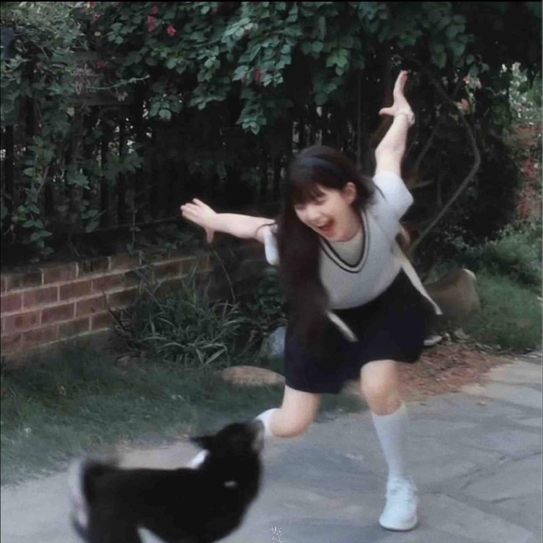 猫诱