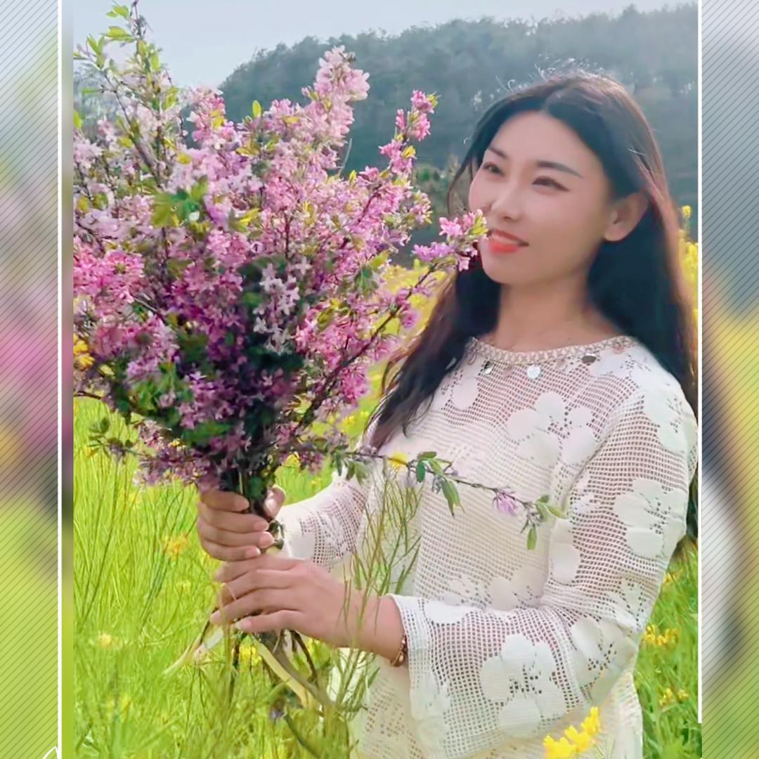 兰香小付.桐柏
