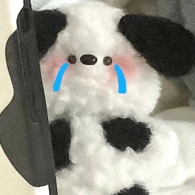 卡夫卡的熊.