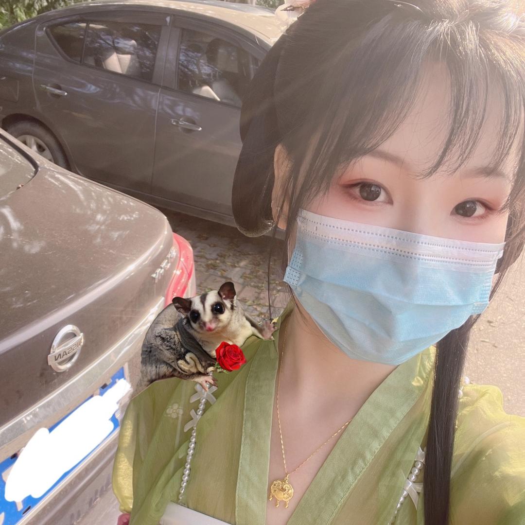 柒月与蜜袋鼯