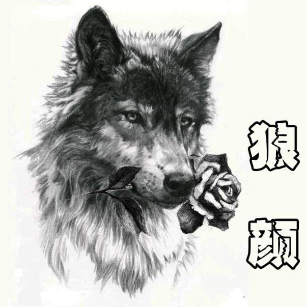狼颜36