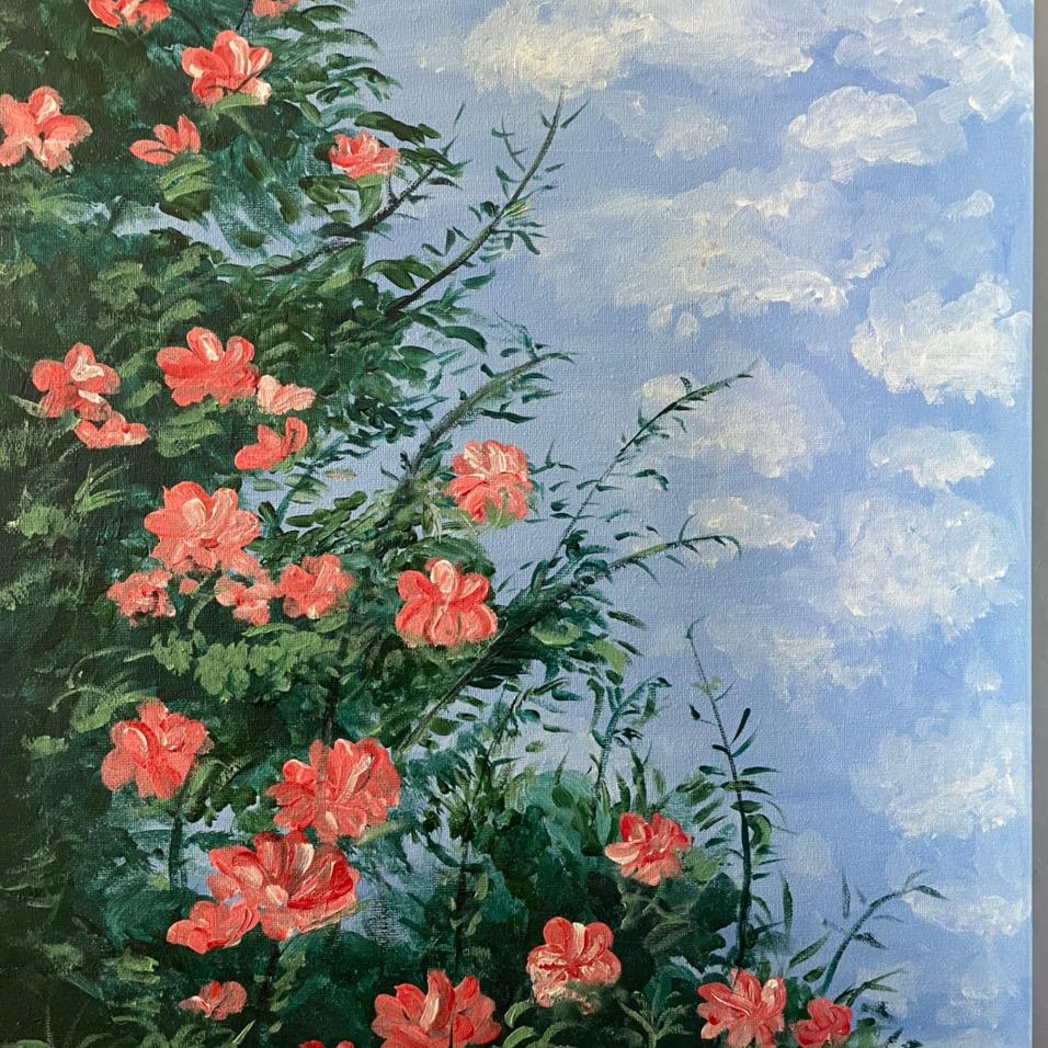 海上飞燕