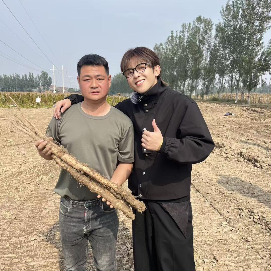 怀山庆农产品店