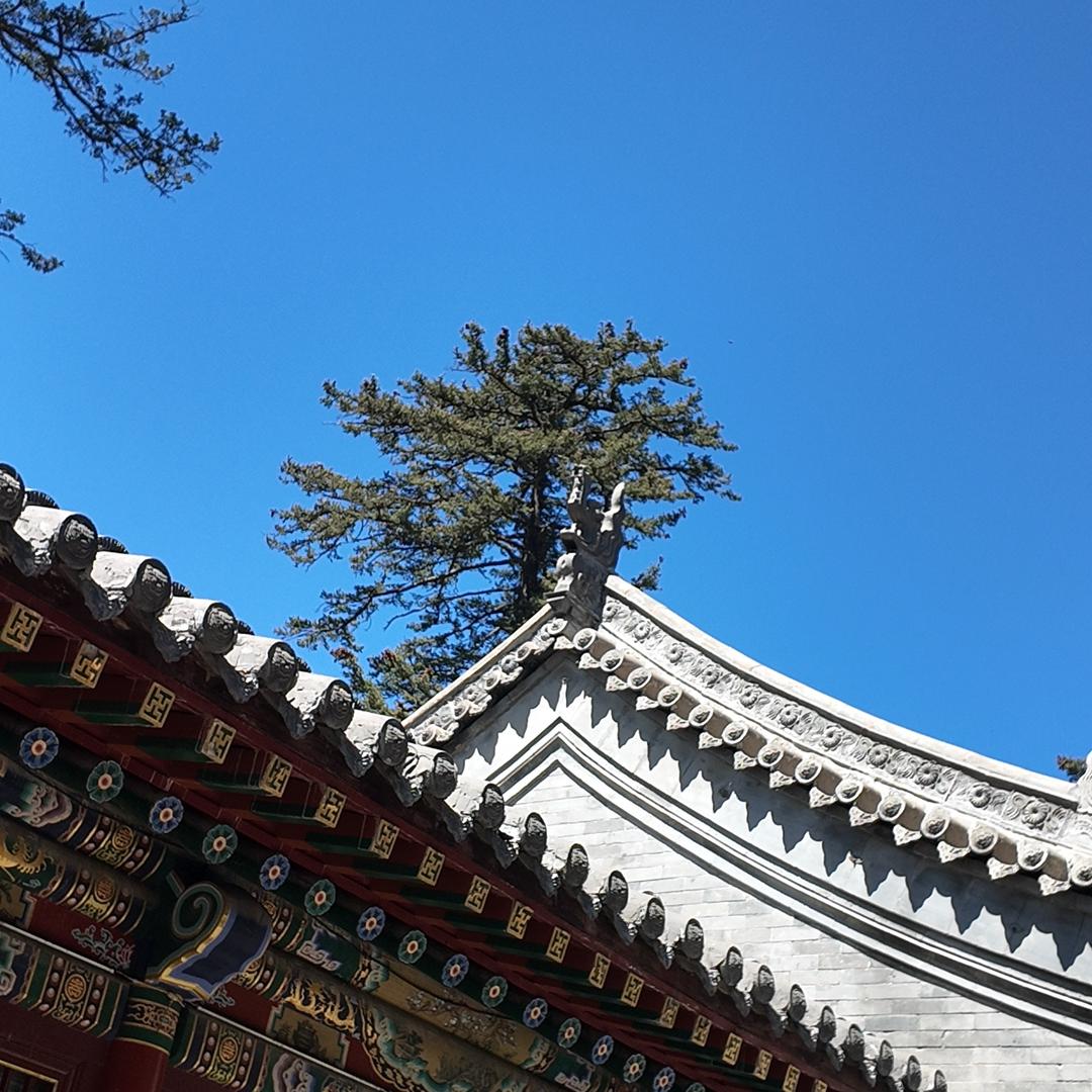 ㊙️㊙️㊙️