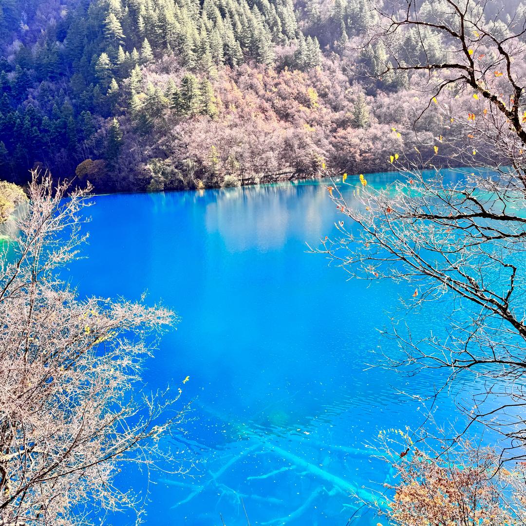 蓝绿相间头像