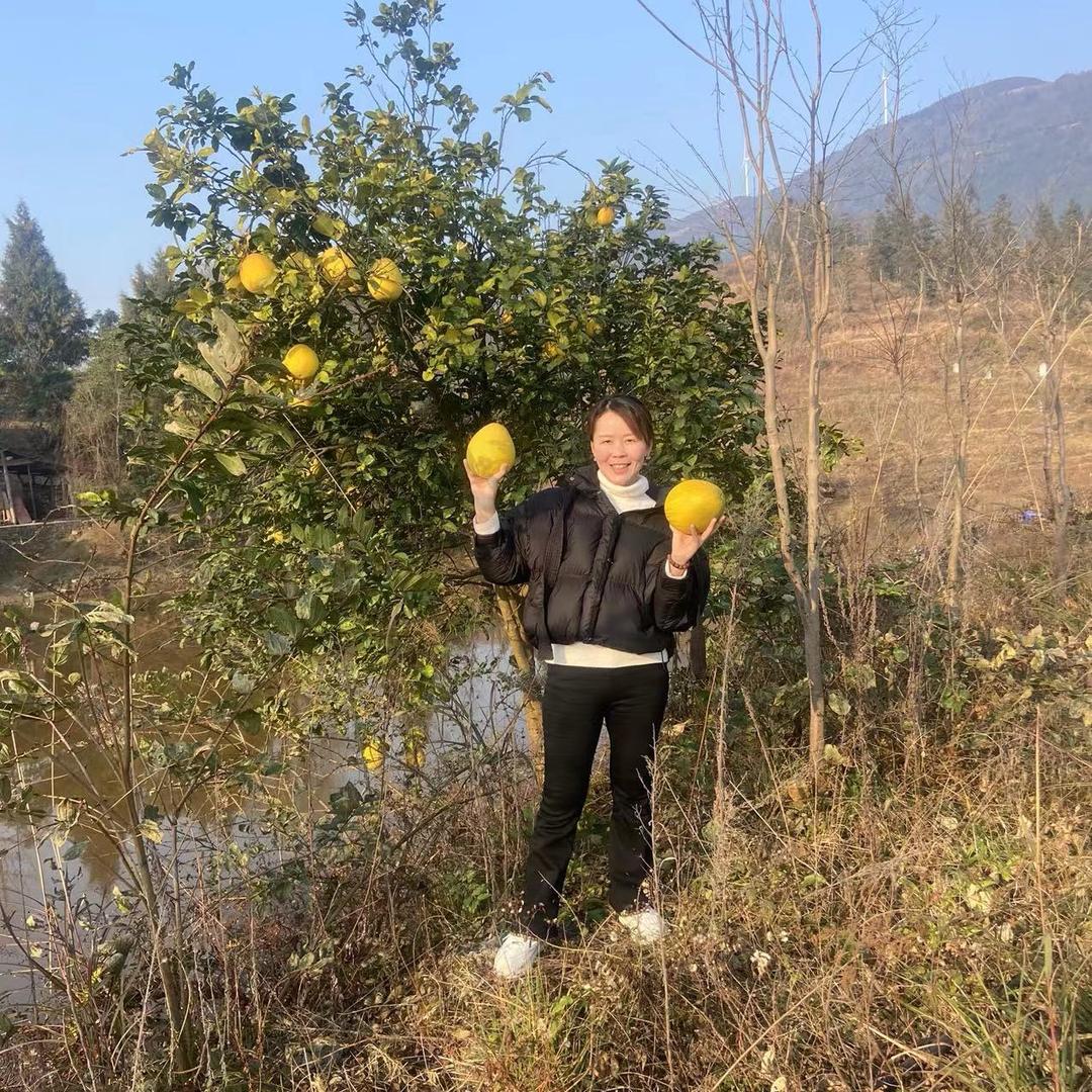 鑫诚汽车用品 钣金 保养