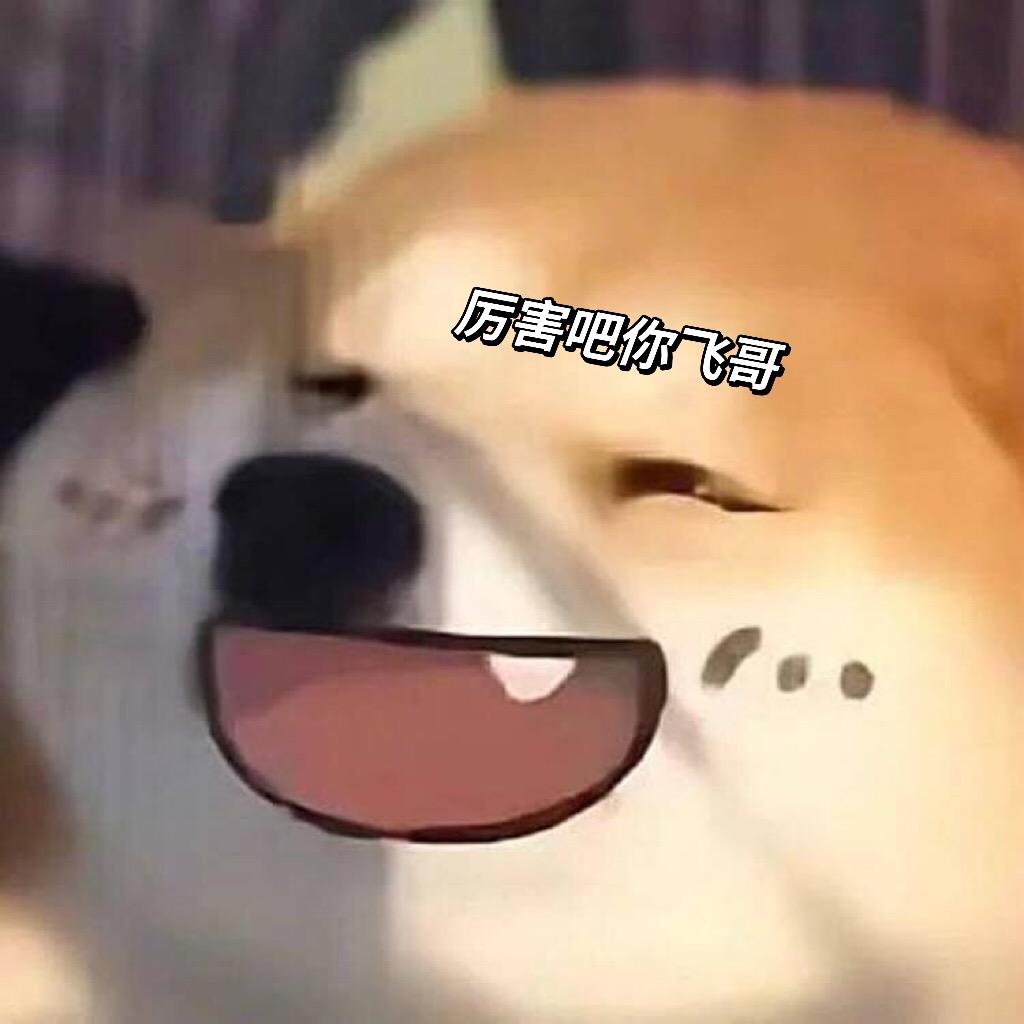 宇飞