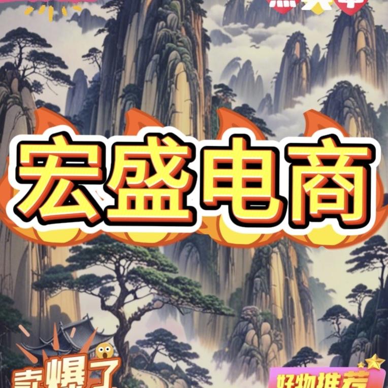 宏盛电商