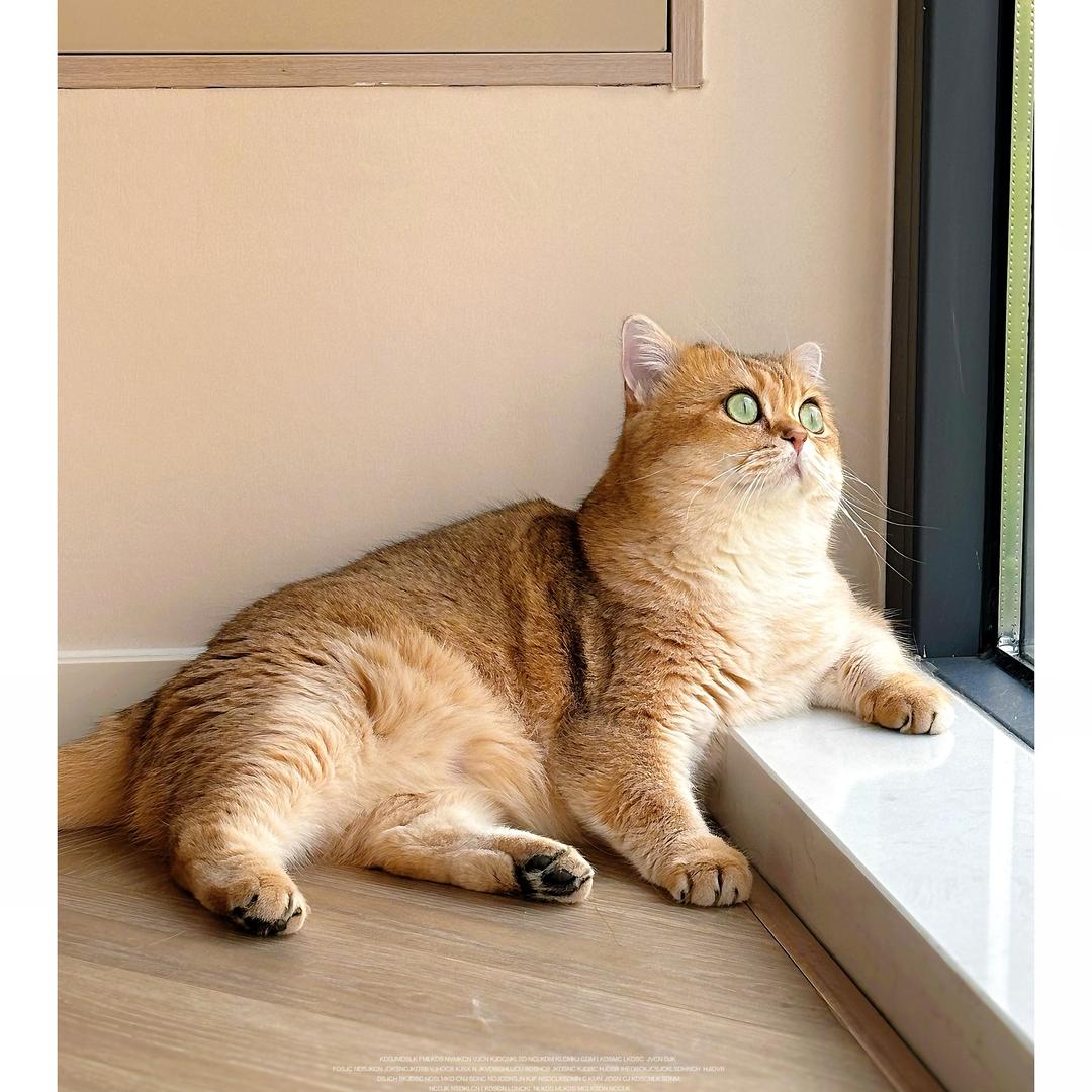 卡卡卡住了