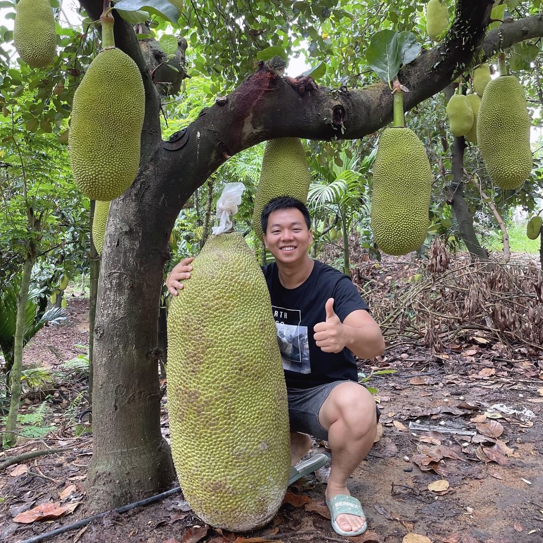 农阿龙