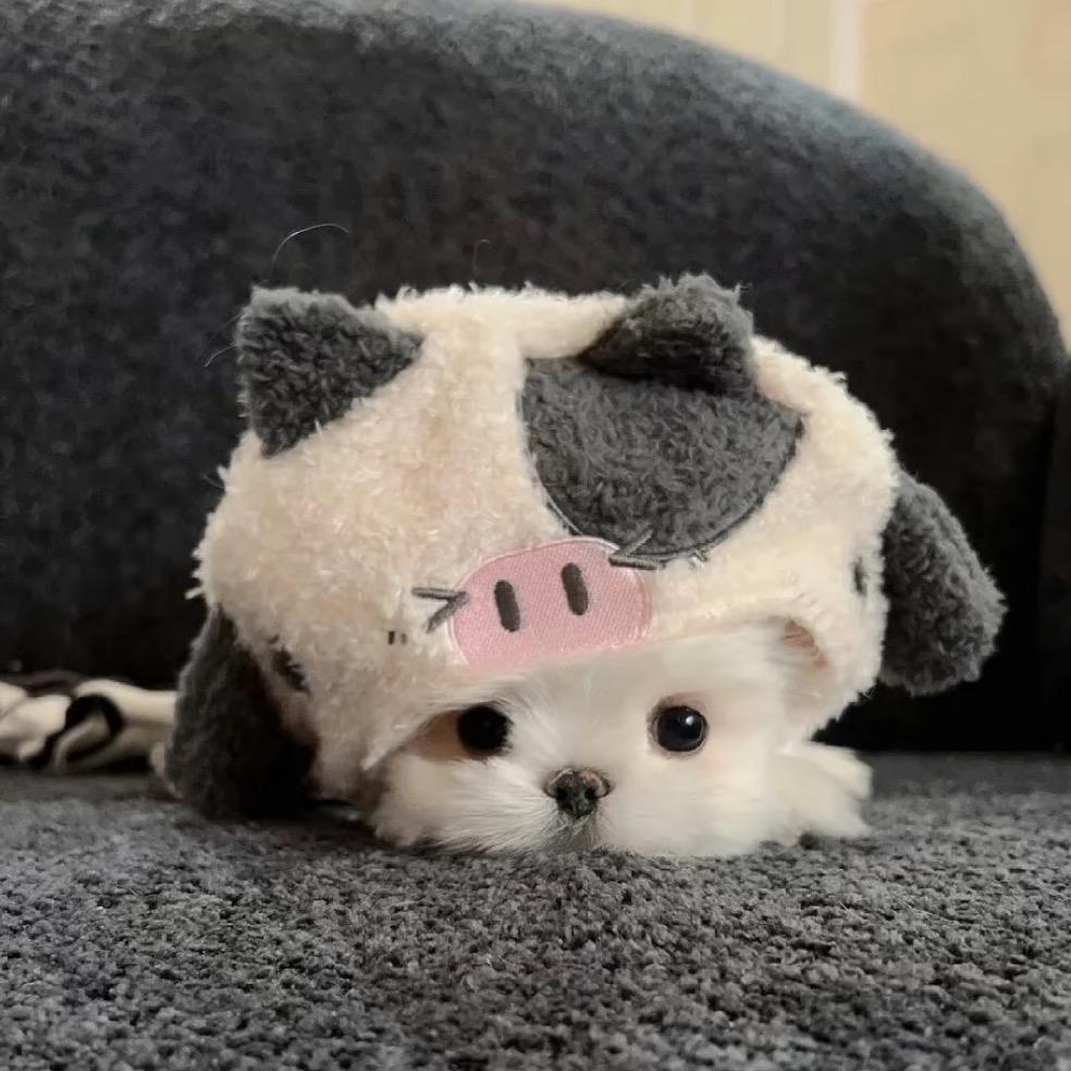 话就没少过