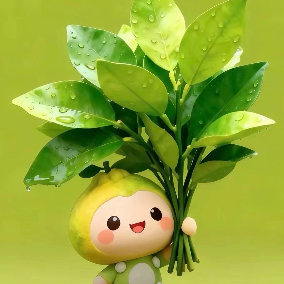🍬小气包包🍼🍼🍼