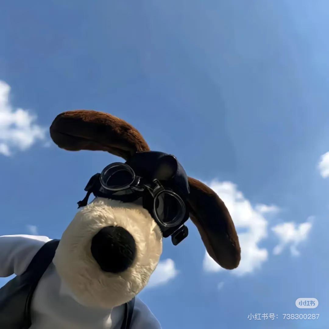 夏诺s