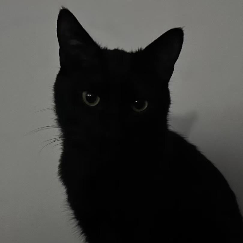 黑猫警长