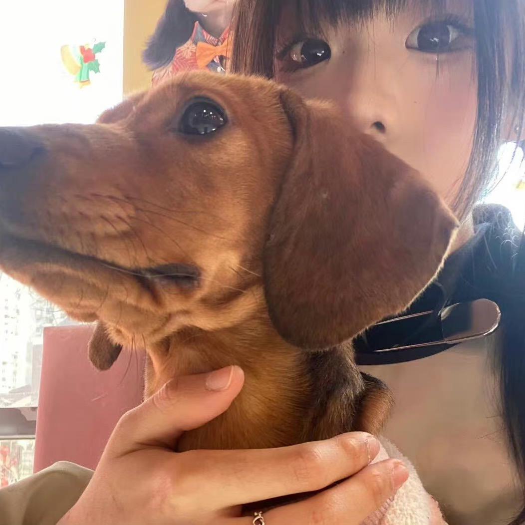 小忧郁o