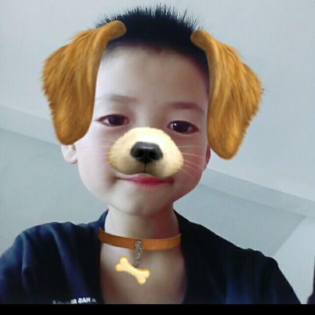 小龙