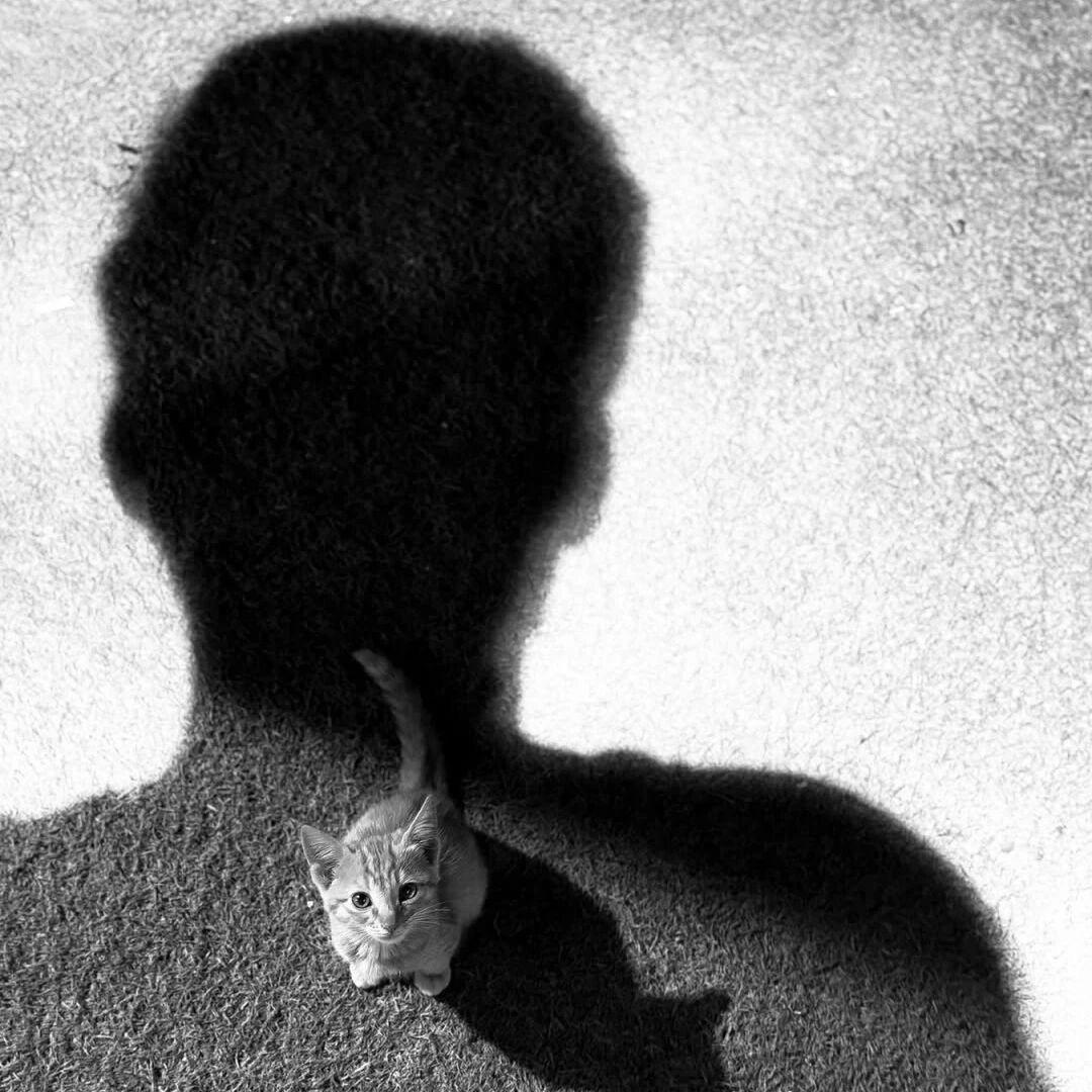 ￴ ￴￴￴￴ ￴￴ ￴￴