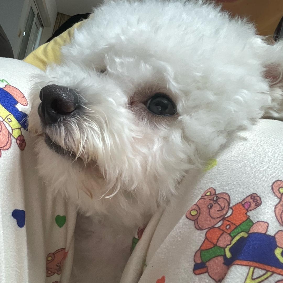 我爱睡觉