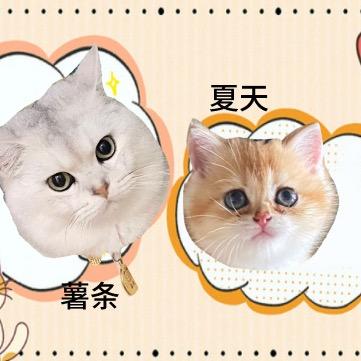 夏天和条哥