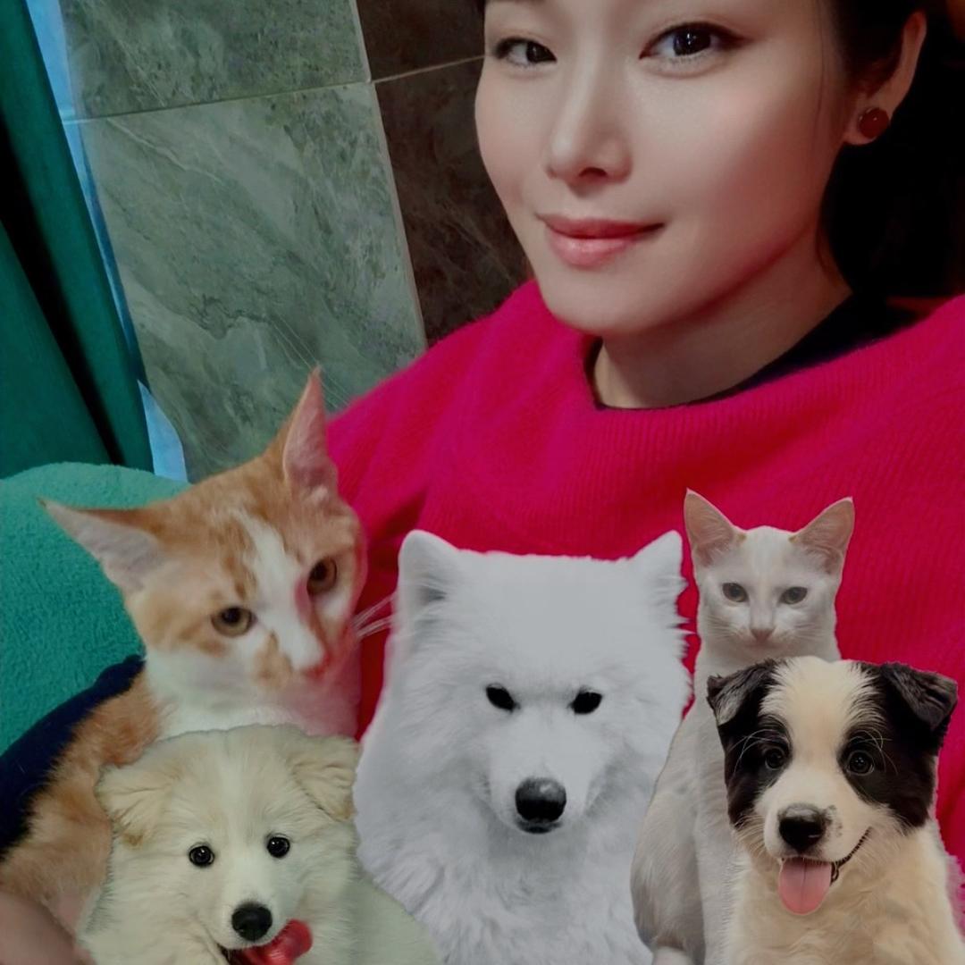 恩福乐宠粮娘亲（姚成凤angel）