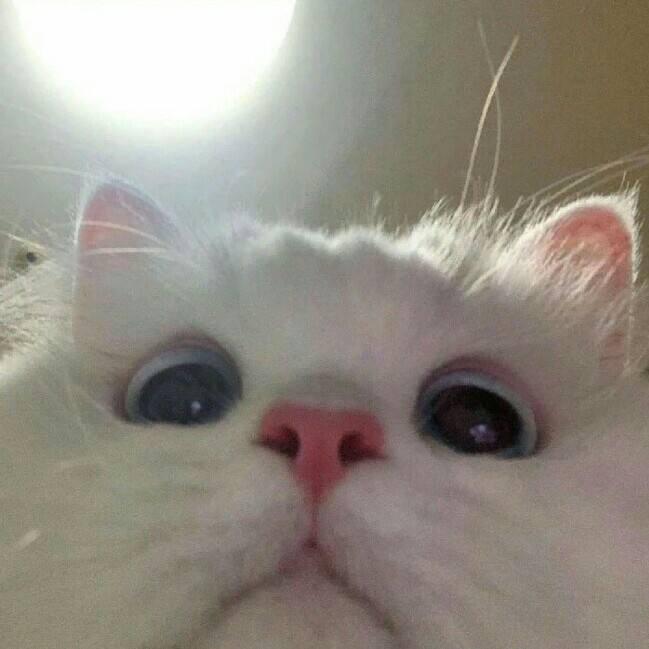①